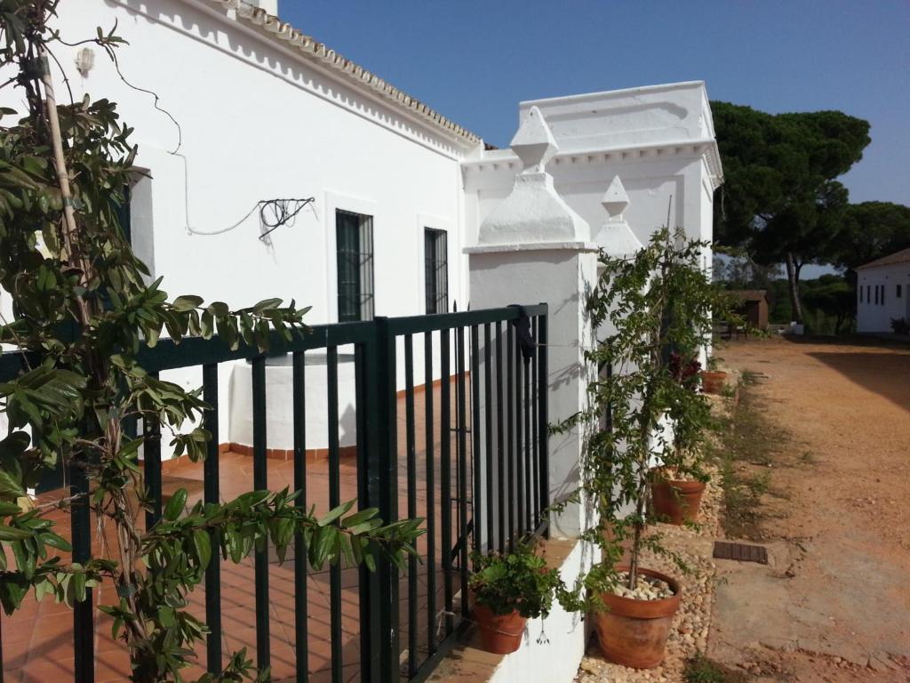 Albergue Rural Territorio Del Gato El Rompido Eksteriør billede